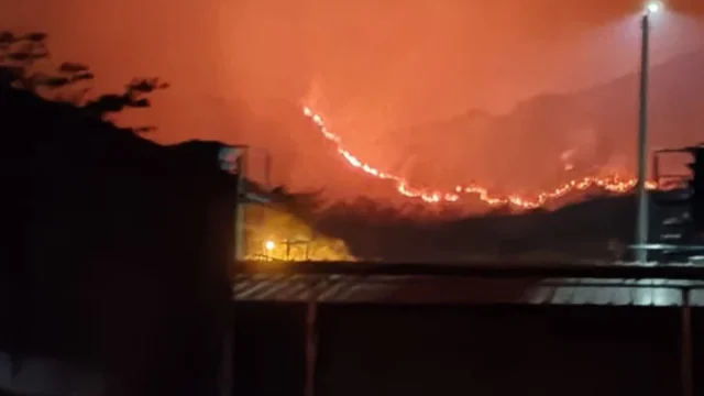 incendios forestales Colombia — Incendios Forestales Colombia: Tolima Concentra la Emergencia en Plena Segunda T