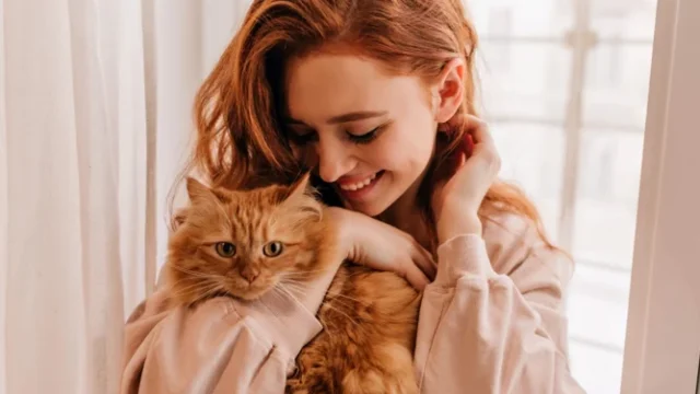 señales bienestar gato — Señales bienestar gato: 5 claves para su salud felina