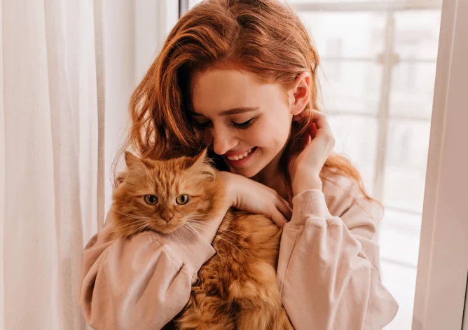 señales bienestar gato — Señales bienestar gato: 5 claves para su salud felina