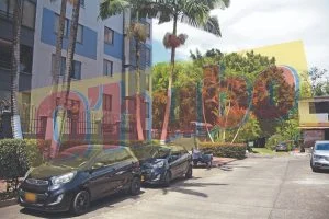 robo de carro — Millonario robo de carro afecta a universitario en la capital