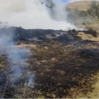 incendio forestal Bojacá — Controlan Gran Incendio Forestal en Bojacá, Cundinamarca