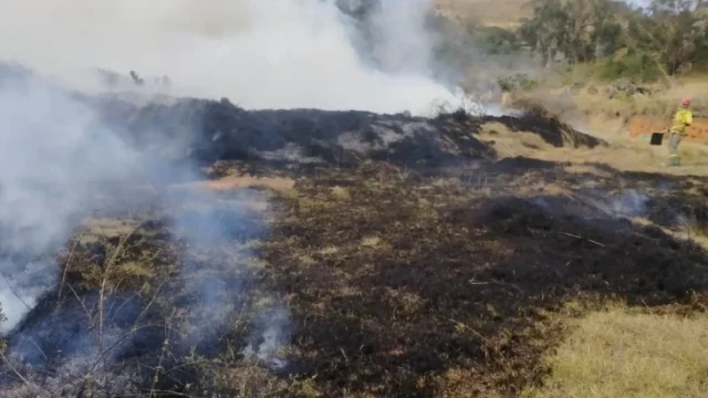 incendio forestal Bojacá — Controlan Gran Incendio Forestal en Bojacá, Cundinamarca