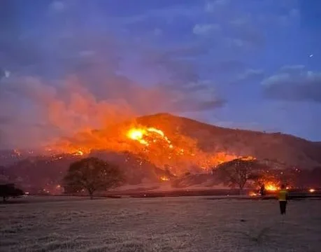 incendios Cundinamarca — Incendios Cundinamarca: Cinco Focos Activos Mantienen la Alerta Departamental