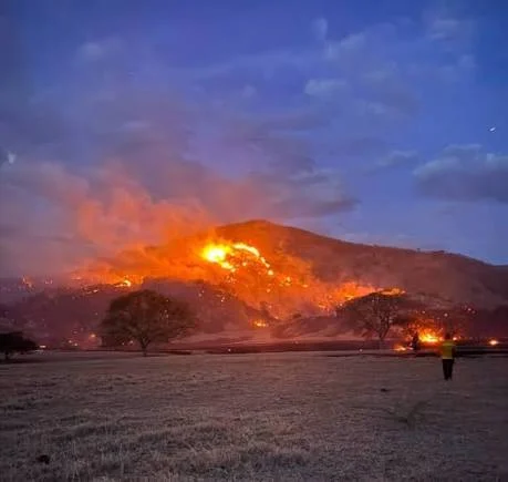 incendios Cundinamarca — Incendios Cundinamarca: Cinco Focos Activos Mantienen la Alerta Departamental