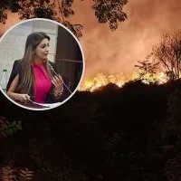 incendios provocados Tolima — Tolima: Investigan si incendios forestales fueron provocados por acciones crimin