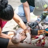 Plataforma IA educativa — Colombia Lanza Nueva Plataforma IA Educativa Nacional
