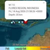 sismo Indonesia — Potente sismo en Indonesia: magnitud 7,7 y alerta de tsunami en la isla de Flore