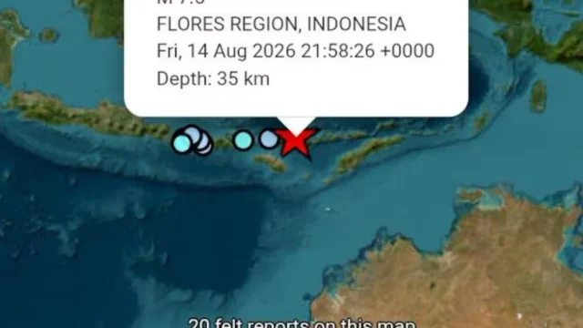 sismo Indonesia — Potente sismo en Indonesia: magnitud 7,7 y alerta de tsunami en la isla de Flore