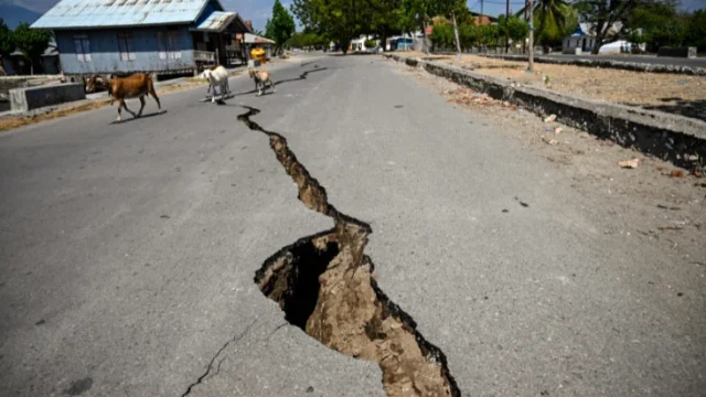 Terremoto Indonesia Flores — Terremoto Indonesia Flores: Balance de víctimas y lecciones para Colombia