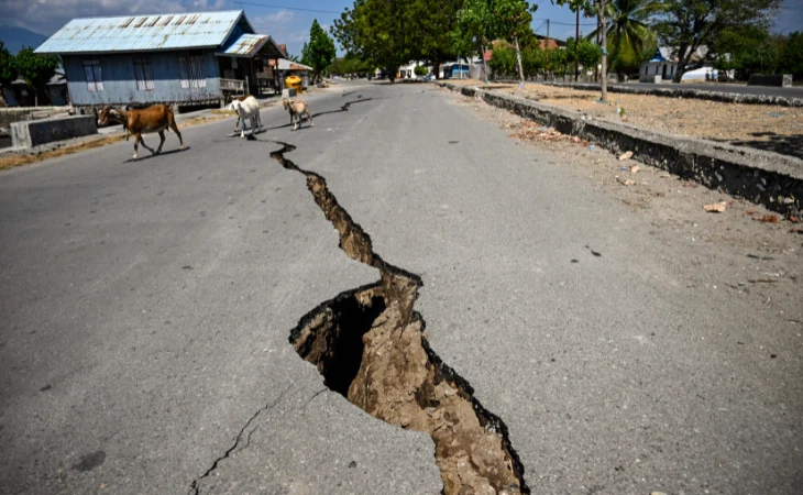 Terremoto Indonesia Flores — Terremoto Indonesia Flores: Balance de víctimas y lecciones para Colombia