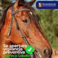 bienestar animal Dosquebradas — Bienestar Animal Dosquebradas: Personería vigilará desfile equino