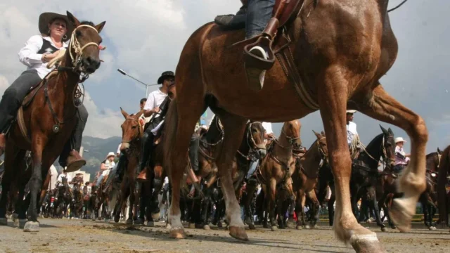 regulación cabalgatas Colombia — Futuro de las Cabalgatas en Colombia: Debate entre Prohibición y Regulación