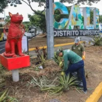 Cali embellece corredores — Cali mejora corredores viales clave para posesión presidencial