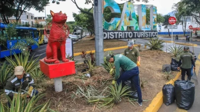 Cali embellece corredores — Cali mejora corredores viales clave para posesión presidencial