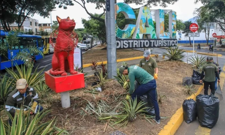 Cali embellece corredores — Cali mejora corredores viales clave para posesión presidencial