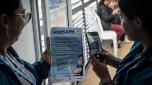 brote fiebre amarilla — Alerta en Colombia: Brote de fiebre amarilla deja 27 fallecidos con Tolima como