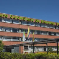 Polémica lenguaje ICBF — Polémica lenguaje ICBF: El debate que confronta gramática y derechos de las niña