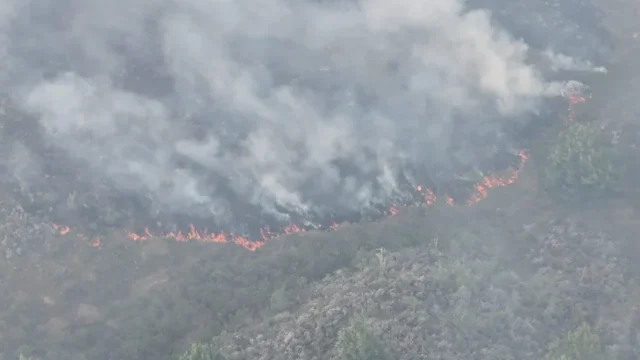 Incendios forestales Colombia — Incendios Forestales Colombia: Balance de Emergencias y Alertas Climáticas Nacio