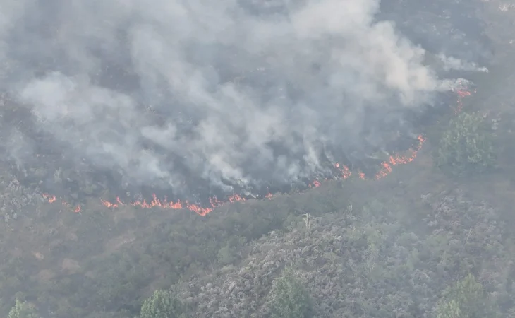 Incendios forestales Colombia — Incendios Forestales Colombia: Balance de Emergencias y Alertas Climáticas Nacio