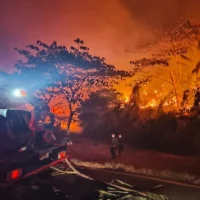 Incendios intencionales Colombia — Capturas por Incendios Intencionales Colombia: Un Desafío Ambiental que Alerta a