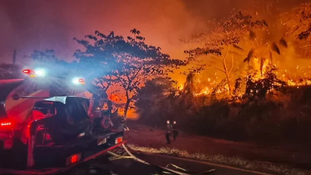 Incendios intencionales Colombia — Capturas por Incendios Intencionales Colombia: Un Desafío Ambiental que Alerta a