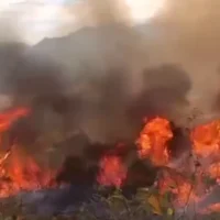 Crisis incendios Colombia — Crisis Incendios Colombia: 16 Focos Activos Generan Alerta Nacional