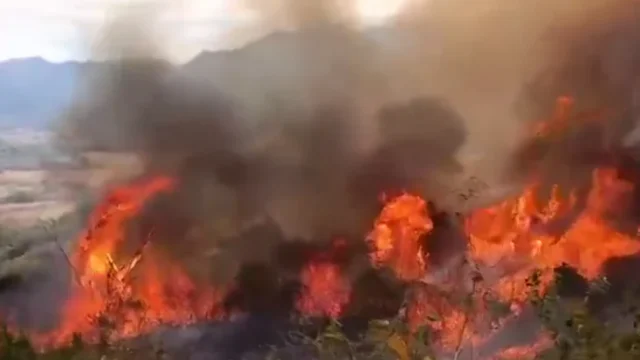 Crisis incendios Colombia — Crisis Incendios Colombia: 16 Focos Activos Generan Alerta Nacional
