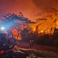 Calamidad pública incendios — Calamidad Pública Incendios: Gobierno anuncia medidas económicas y de seguridad