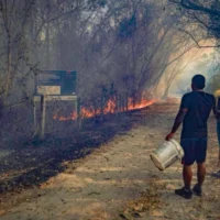 incendios forestales Tolima — Incendios Forestales Tolima: Más de 10.000 Hectáreas Afectadas y Esfuerzo Unific