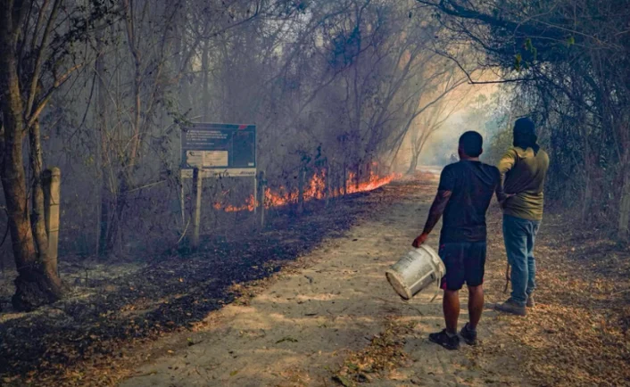 incendios forestales Tolima — Incendios Forestales Tolima: Más de 10.000 Hectáreas Afectadas y Esfuerzo Unific