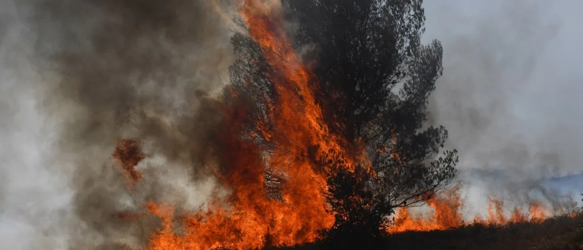 plan Compromiso Tolima — Gobierno implementa plan Compromiso Tolima ante devastación por incendios forest