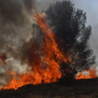 plan Compromiso Tolima — Gobierno implementa plan Compromiso Tolima ante devastación por incendios forest