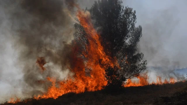 plan Compromiso Tolima — Gobierno implementa plan Compromiso Tolima ante devastación por incendios forest