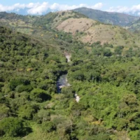 revocación reserva La Baja — Revocación Reserva La Baja: MinAmbiente anula protección por anomalías en proces