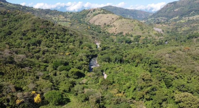 revocación reserva La Baja — Revocación Reserva La Baja: MinAmbiente anula protección por anomalías en proces