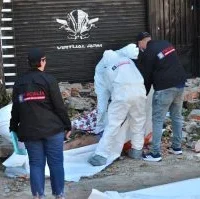 Terremoto Pereira balance — Trágico Terremoto en Pereira: Balance Preliminar Revela 66 Víctimas Mortales