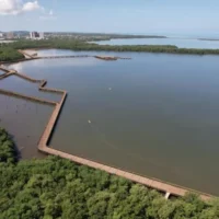 recuperación Ciénaga Mallorquín — Barranquilla Asegura Crédito para la Recuperación Ciénaga Mallorquín y Obras de