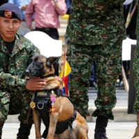 derecho voto uniformados — Proyecto busca otorgar derecho voto uniformados en Colombia