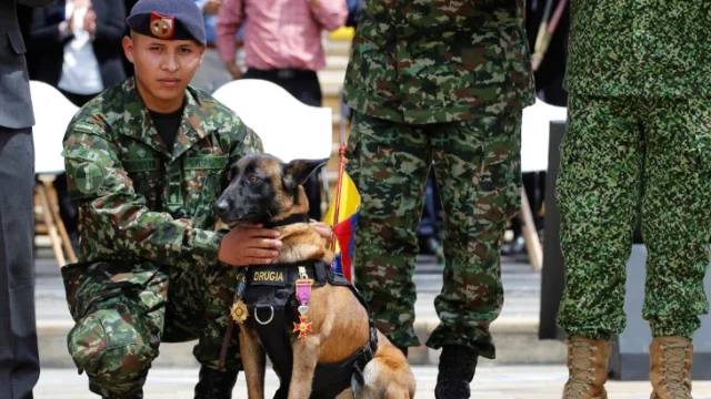 derecho voto uniformados — Proyecto busca otorgar derecho voto uniformados en Colombia