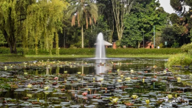 Reglamentación bonos carbono — Reglamentación Bonos Carbono: Colombia oficializa nuevo decreto ambiental
