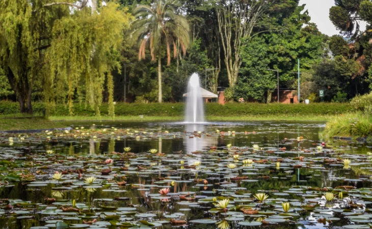 Reglamentación bonos carbono — Reglamentación Bonos Carbono: Colombia oficializa nuevo decreto ambiental
