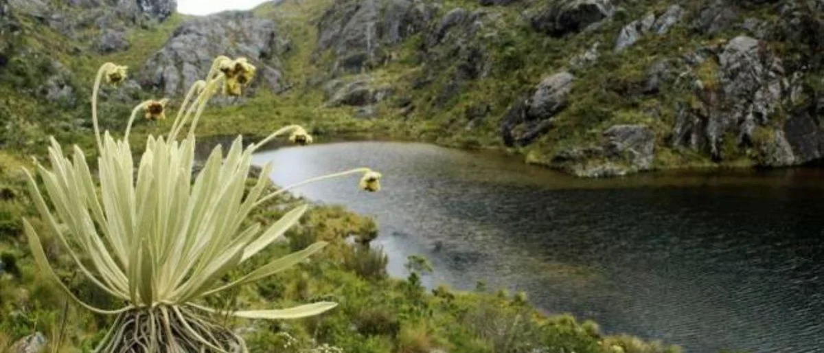 protección Páramo Santurbán — Protección Páramo Santurbán: Gobierno Petro ratifica medidas ambientales