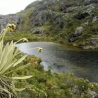 protección Páramo Santurbán — Protección Páramo Santurbán: Gobierno Petro ratifica medidas ambientales