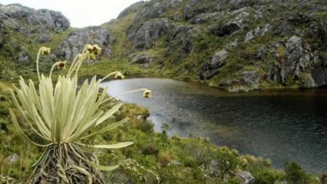 protección Páramo Santurbán — Protección Páramo Santurbán: Gobierno Petro ratifica medidas ambientales