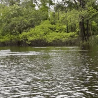 Política Nacional Agua — Política Nacional Agua: Colombia Actualiza su Gestión Hídrica hasta 2050