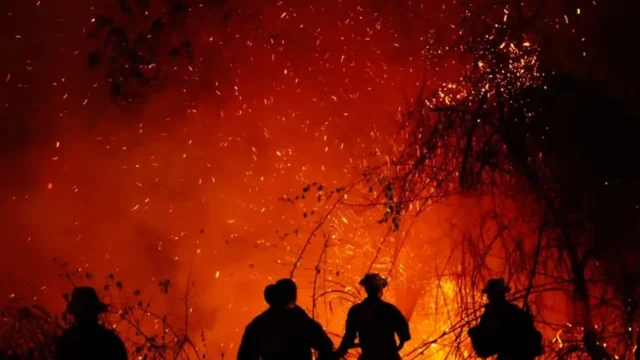 incendios Tolima hectáreas — Incendios Tolima hectáreas: Más de 20.000 consumidas y el impacto de El Niño