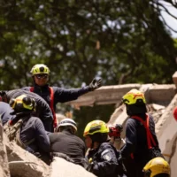 Soporte emocional sismo — Fixit habilita soporte emocional y veterinario tras sismo en Colombia