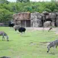 cierre Bioparque Ukumarí — Cierre Bioparque Ukumarí: Medida Preventiva Tras Sismo en el Eje Cafetero